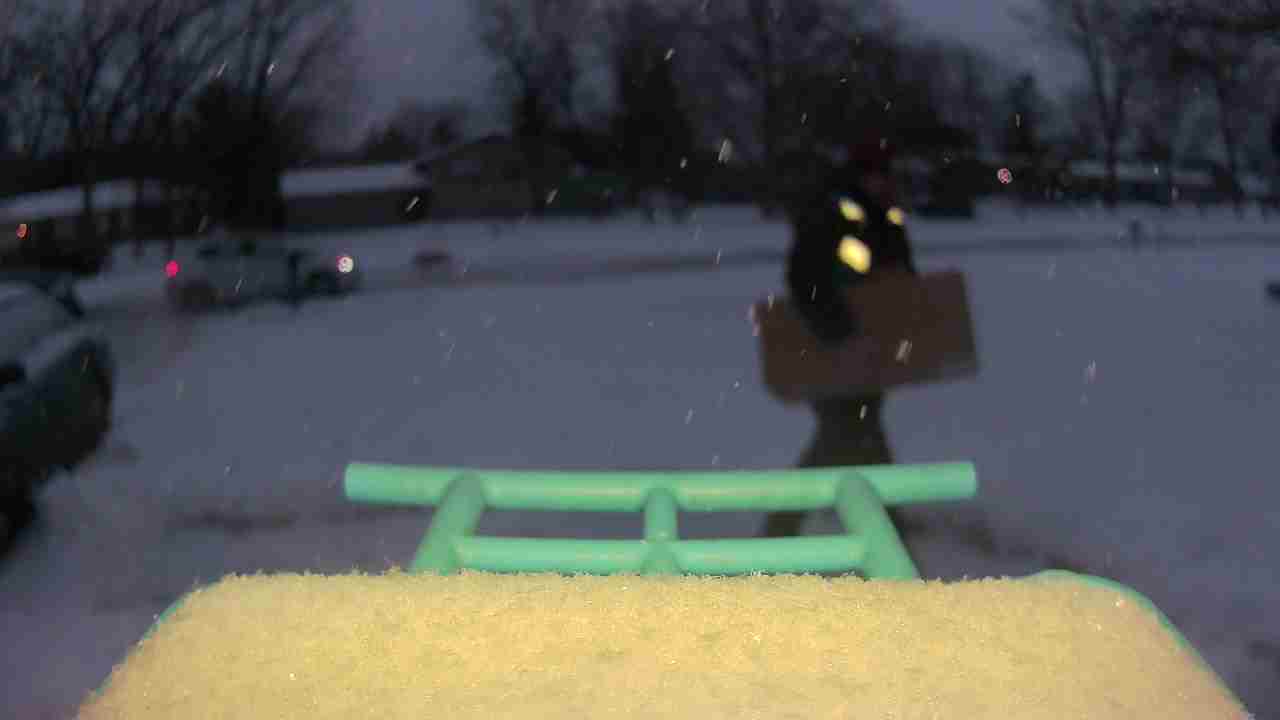 Bird at feeder